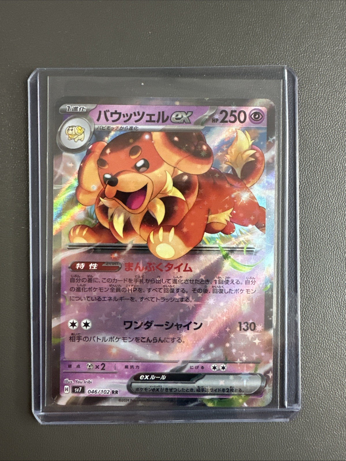 Pokemon TCG - Dachsbun ex 046/102 RR - sv7 Stellar Miracle Japanese - Mint
