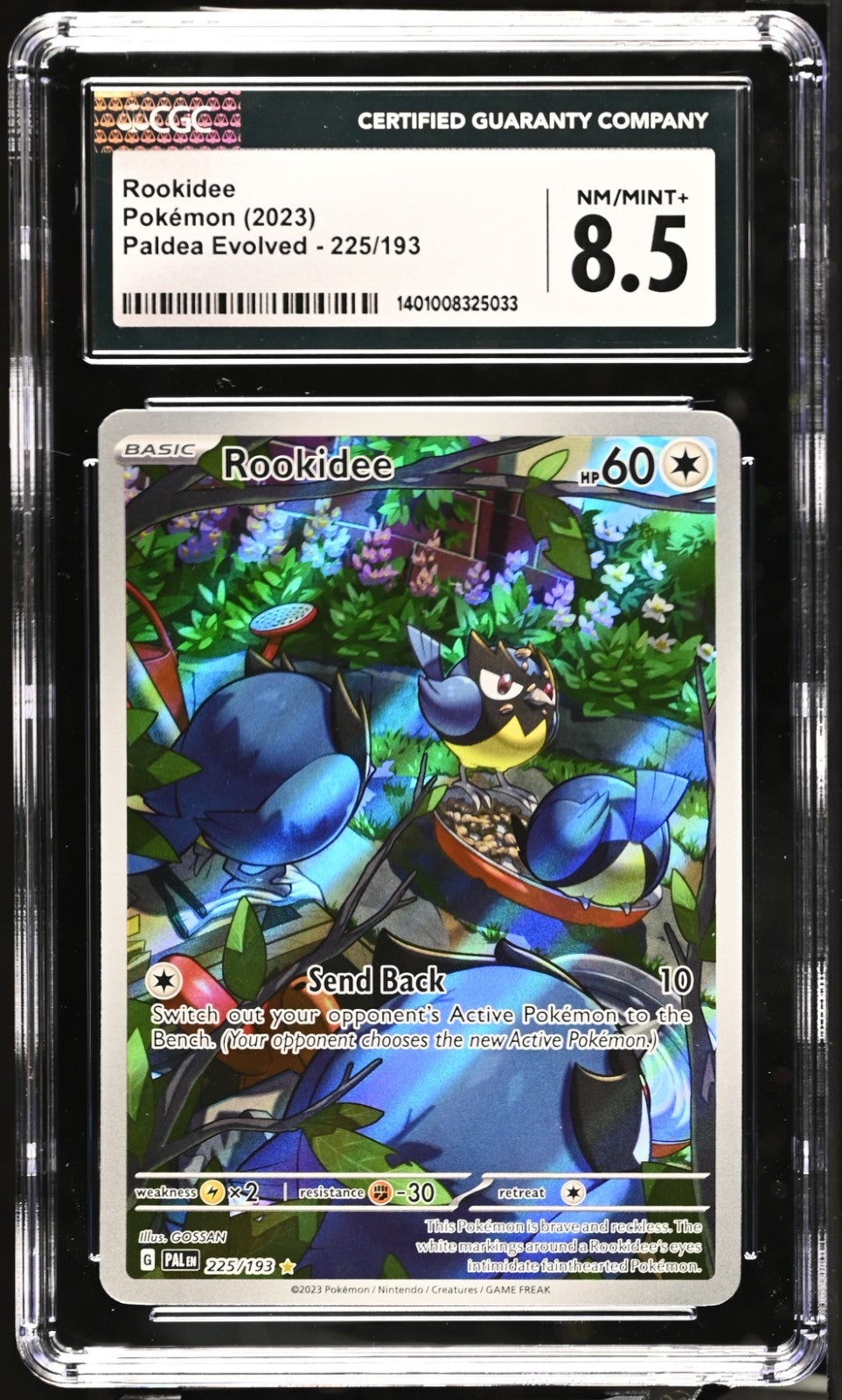 Pokemon 2023 Paldea Evolved Rookidee #225/193 CGC 8.5